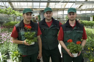 Team Blumen Werner in Röthenbach
