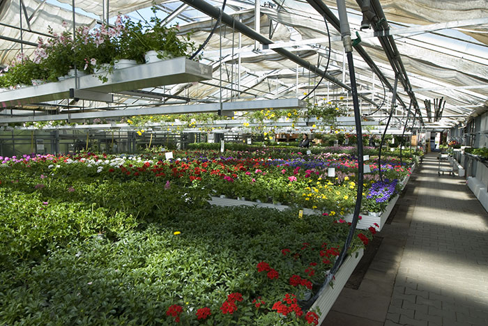 Blumen Werner – Ihre regionale Gärtnerei in Röthenbach Pegnitz Blumen Werner - Ihre regionale Gärtnerei in Röthenbach Pegnitz