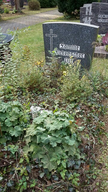 Grabplflege vorher - nachher in Röthenbach Pegnitz - Blumen Werner