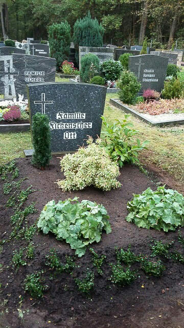 Grabplflege vorher - nachher in Röthenbach Pegnitz - Blumen Werner