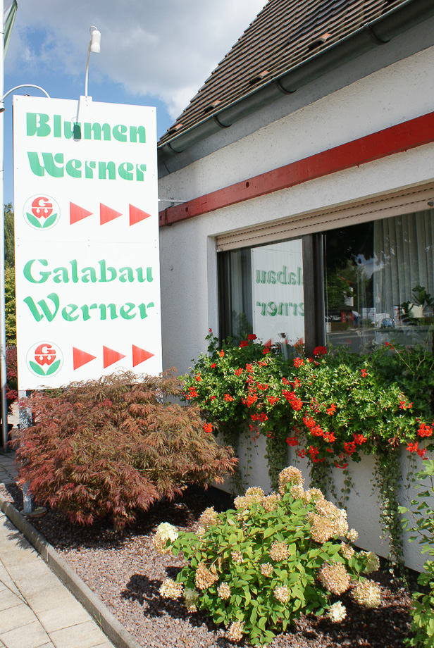 Frühlingsblumen in der Gärtnerei Werner in Röthenbach