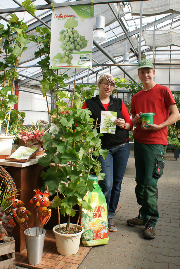 Blumen Werner - Ihre regionale Gärtnerei in Röthenbach Pegnitz