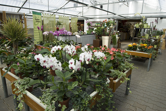 Floristik und Dekoration – Blumen Werner – in Röthenbach a.d. Pegnitz im Nürnberger Land Floristik und Dekoration - Blumen Werner - in Röthenbach a.d. Pegnitz im Nürnberger Land