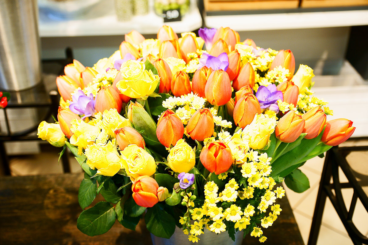 Vorfrühling Vorfrühling Blumen