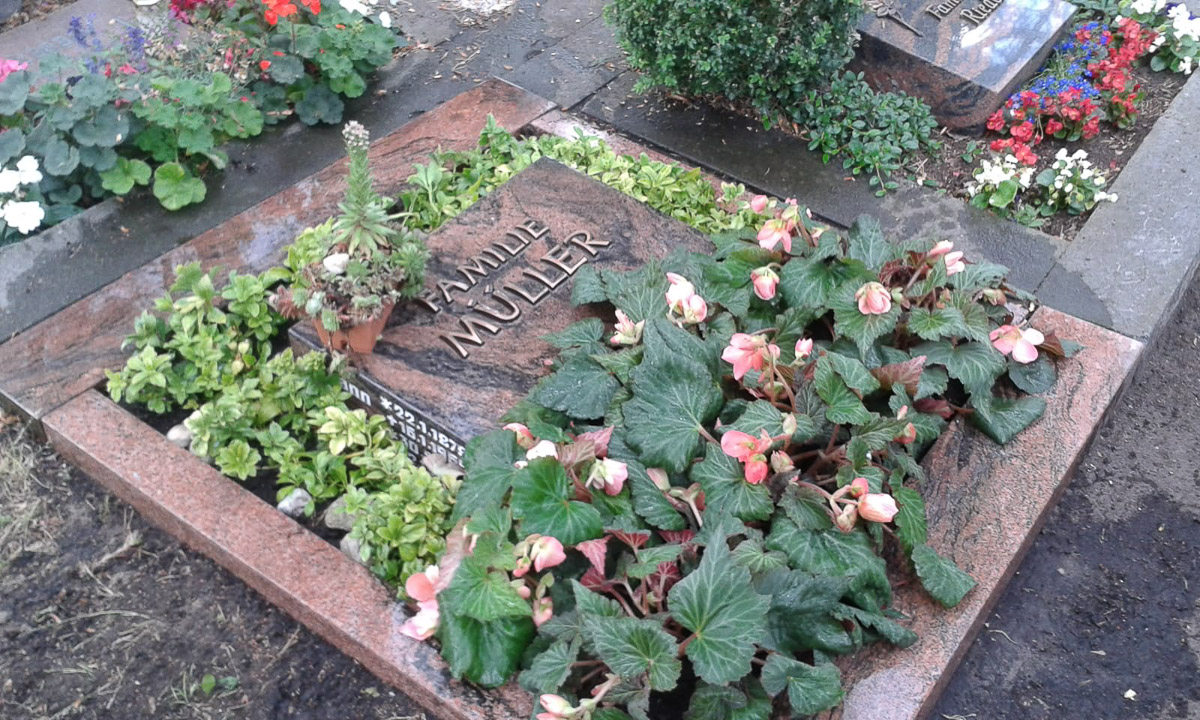 Grabplflege vorher - nachher in Röthenbach Pegnitz - Blumen Werner