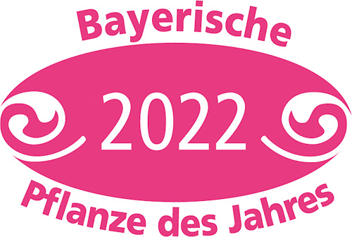bayerische Pflanze des Jahres bayerische Pflanze des Jahres