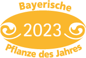 Bayerische Pflanze des Jahres 2023